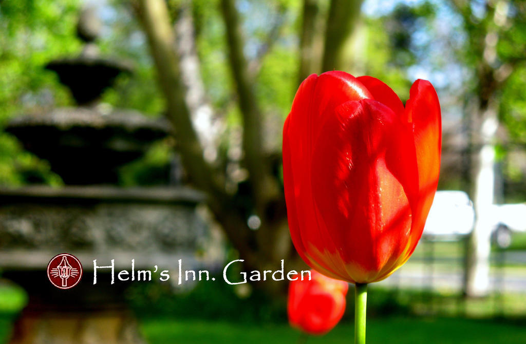 Helm'S Inn Victoria Luaran gambar